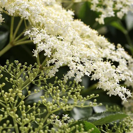 Haus Mannertal Binscheid