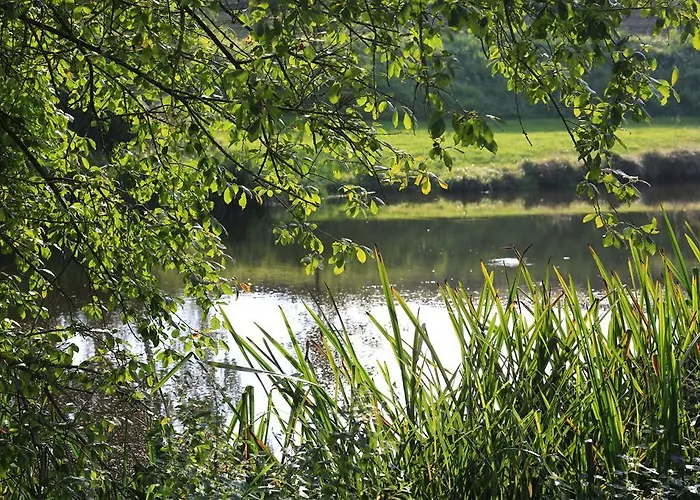 Hotel Haus Mannertal *
